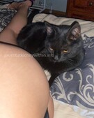 Анкета проститутки Тамара - метро Чертаново Северное, возраст - 21